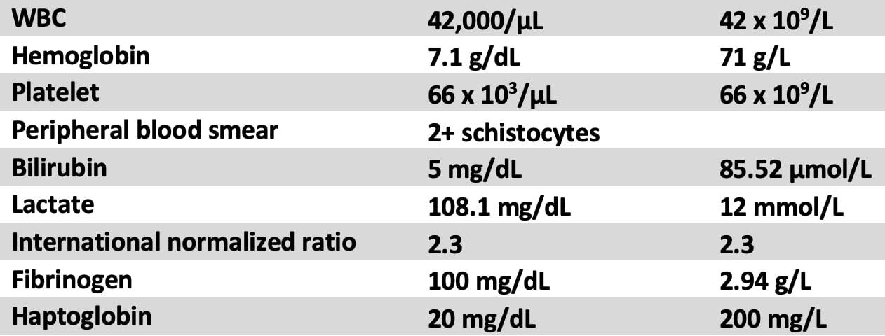 Figure 1. Laboratory values.