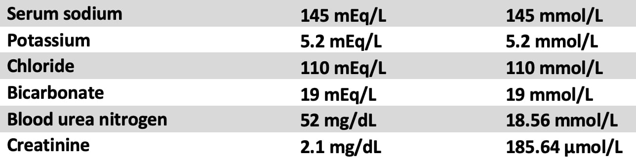 Notable laboratory tests displaying results for serum sodium, potassium, chloride, bicarbonate, blood urea nitrogen, and creatinine.